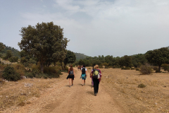 WhatsApp-Image-2025-09-08-at-20.12.39