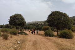 WhatsApp-Image-2025-09-08-at-20.12.40-1