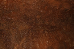 DSCF7286