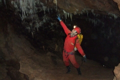DSCF7295