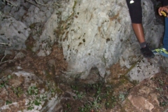 DSCF7330