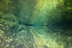 IMG-20230307-WA0010