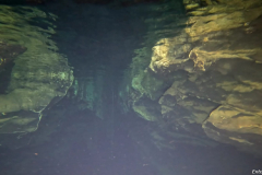 IMG-20230307-WA0011