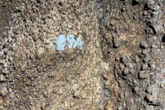 WhatsApp-Image-2025-10-05-at-22.08.57-2