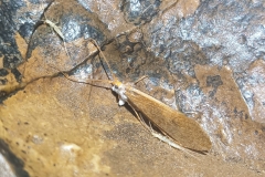 IMG-20210823-WA0006