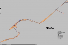 Planta-pedorrilla-de-Vtopo
