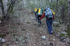 IMG-20221107-WA0017