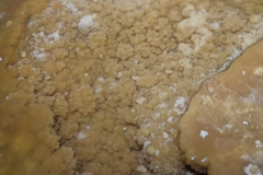 IMG-20240630-WA0037