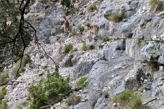 IMG-20240630-WA0064