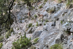 IMG-20240630-WA0069