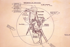 5-Pl.Ch.Alcoi-Nudo Caracol