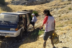 IMG-20220627-WA0036