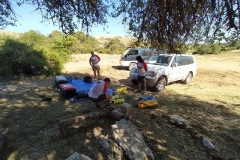 IMG-20220627-WA0037