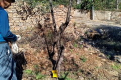 Radiolocalización en Cueva de San José de Val D'Uixo