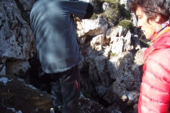 DSCF9563