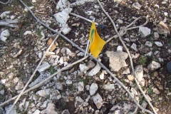 DSCF9578