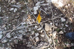 DSCF9579