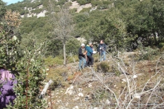 DSCF9581