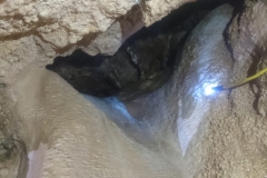 IMG-20190224-WA0025