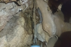 IMG-20190224-WA0026