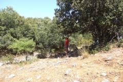 DSCF0095