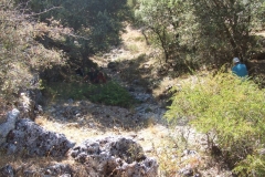 DSCF0097