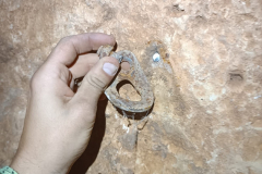 IMG-20230726-WA0012
