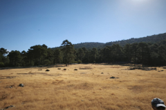 IMG-20260808-WA0017