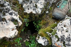 IMG-20221120-WA0004