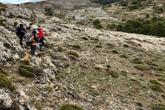 IMG-20221120-WA0006