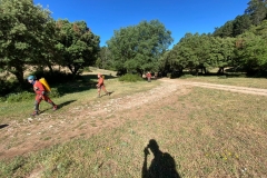 IMG-20220604-WA0014