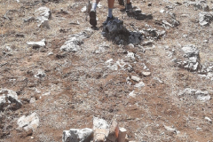IMG-20240826-WA0002