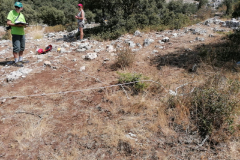 IMG-20240826-WA0020