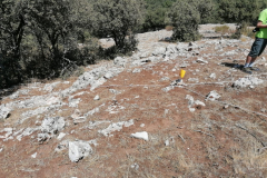 IMG-20240826-WA0028