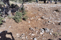 IMG_20240824_111903