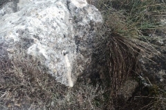 Sima-Barranco-1