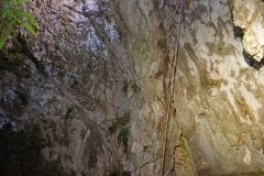 IMG-20210324-WA0015