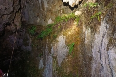 IMG-20210324-WA0018