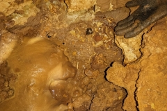 IMG-20210324-WA0026