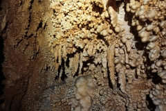 IMG-20210324-WA0027