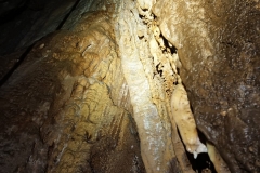 IMG-20210324-WA0030
