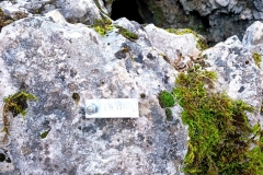 IMG-20210324-WA0049