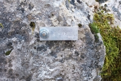 IMG-20210324-WA0056