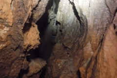 DSCF6668