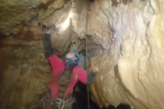 IMG-20181005-WA0007