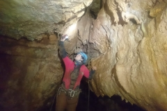 IMG-20181005-WA0008