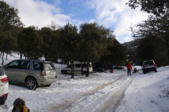 DSC00007