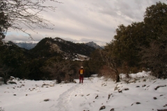 DSC00089