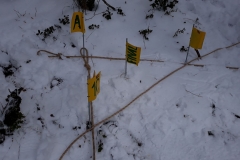 IMG-20180128-WA0005