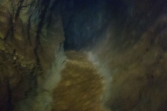 IMG-20180128-WA0027